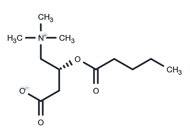 Valerylcarnitine Chemical Structure