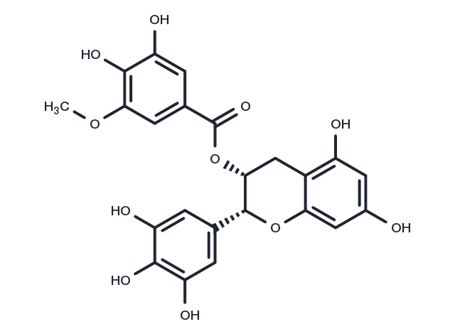 (-)-Epigallocatechin-3-(3''-O-methyl) gallate Chemical Structure
