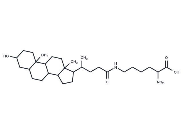N-epsilon-Lithocholyllysine Chemical Structure