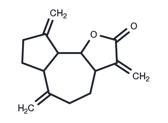 Dehydrocostuslactone Chemical Structure