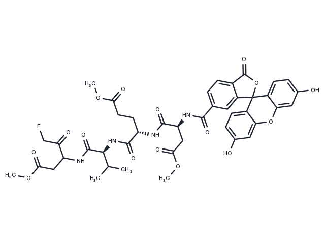 Fluorescein-6-carbonyl-Asp(OMe)-Glu(OMe)-Val-DL-Asp(OMe)-fluoromethylketone Chemical Structure