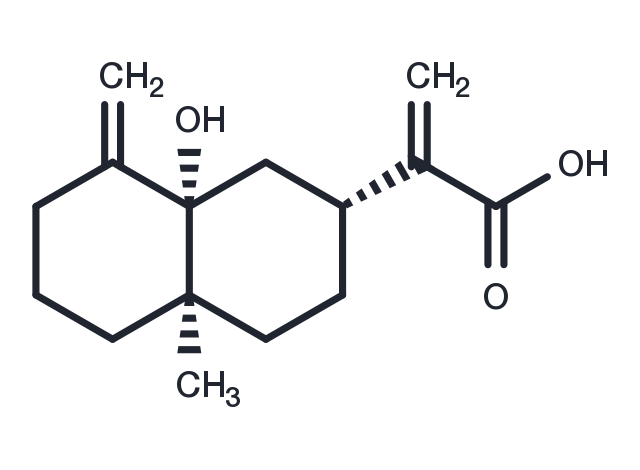5α-Hydroxycostic acid Chemical Structure