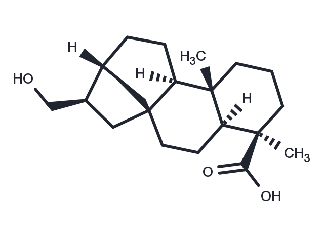 Siegeskaurolic acid Chemical Structure