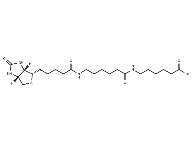 Biotin-C5-amino-C5-amino Chemical Structure