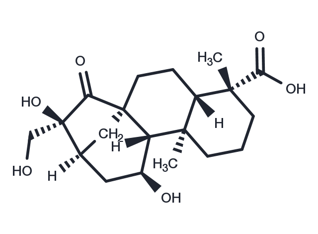 Adenostemmoic acid D Chemical Structure