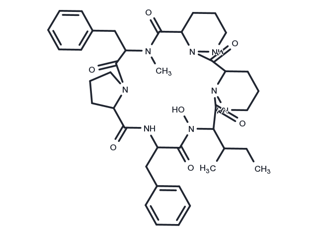 L 156373 Chemical Structure