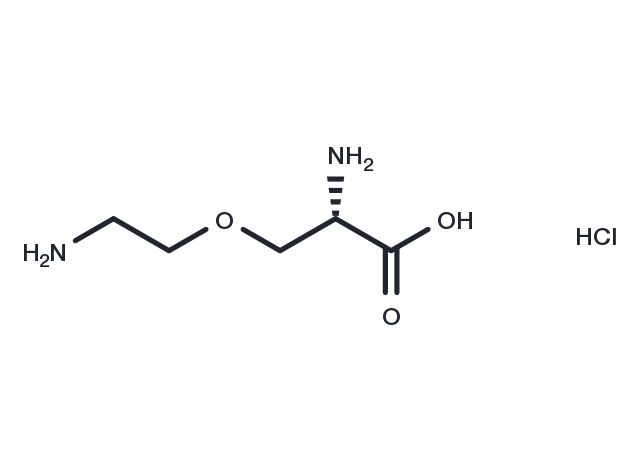 L-4-Oxalysine hydrochloride Chemical Structure
