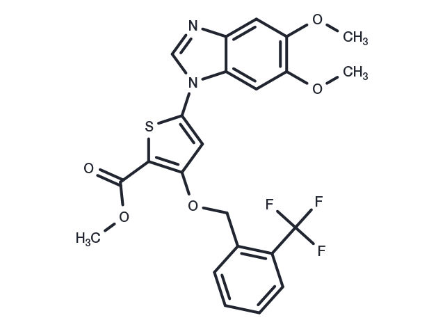 GSK1030058A Chemical Structure