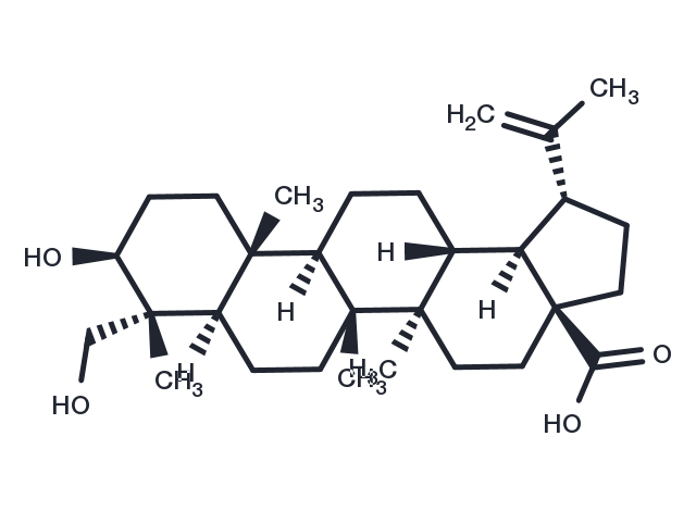 23-Hydroxybetulinic acid Chemical Structure