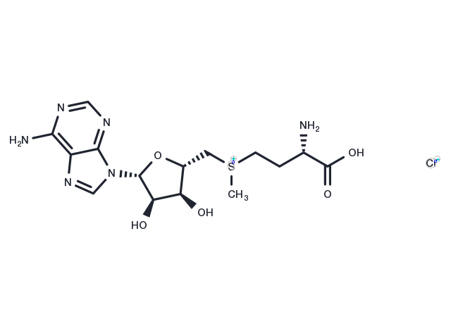 S-(5'-Adenosyl)-L-methionine chloride Chemical Structure