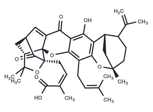 Epigambogellic acid Chemical Structure