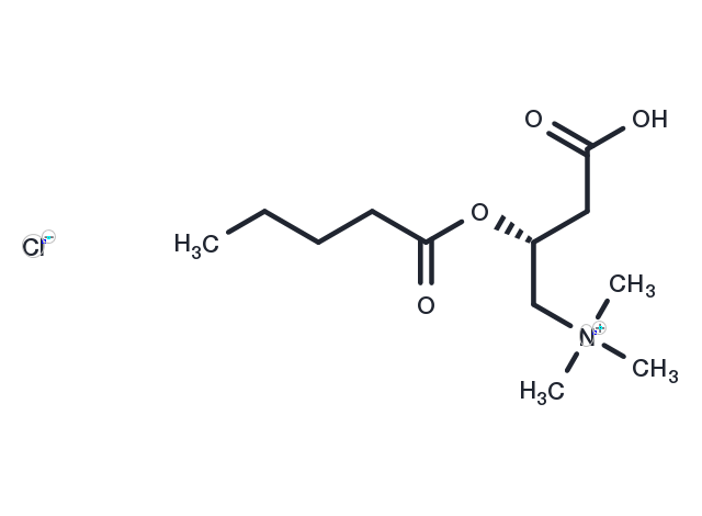 Valeryl-L-carnitine (chloride) Chemical Structure