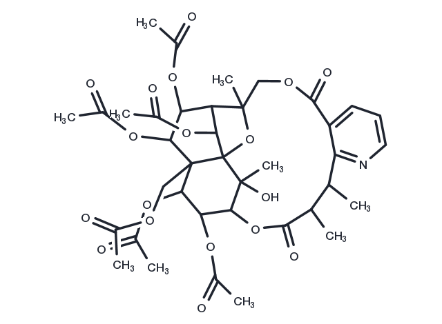 Euonymine Chemical Structure