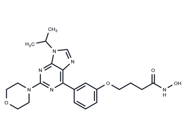 HDAC-IN-43 Chemical Structure