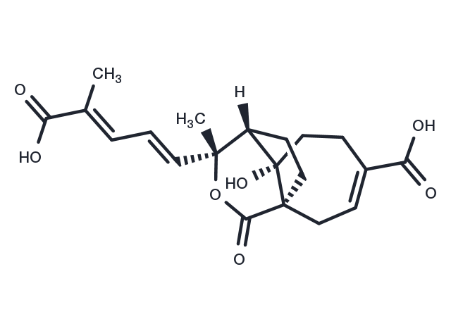 Demethoxydeacetoxypseudolaric acid B analog Chemical Structure