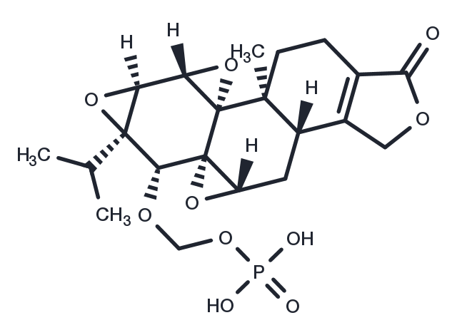 Minnelide free acid Chemical Structure