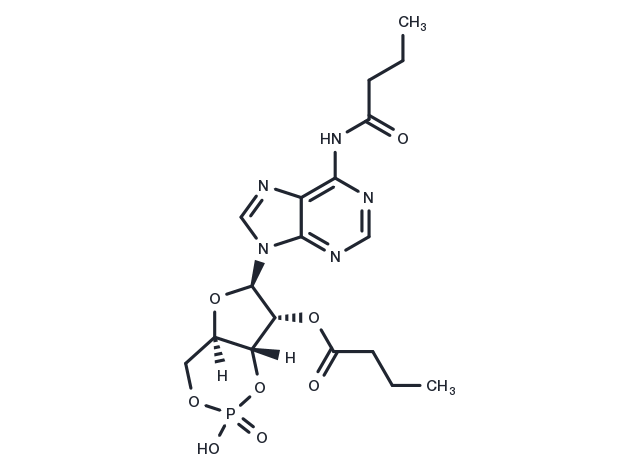Bucladesine Chemical Structure