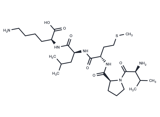 Bax inhibitor peptide V5