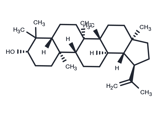 Lupeol Chemical Structure