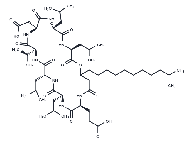 Surfactin Chemical Structure
