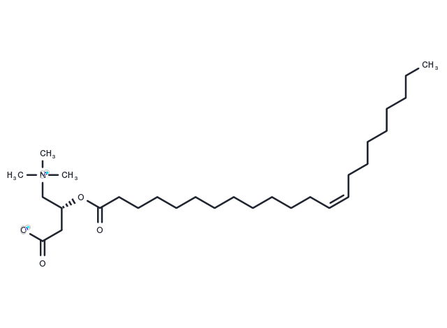 Erucyllevocarnitine Chemical Structure