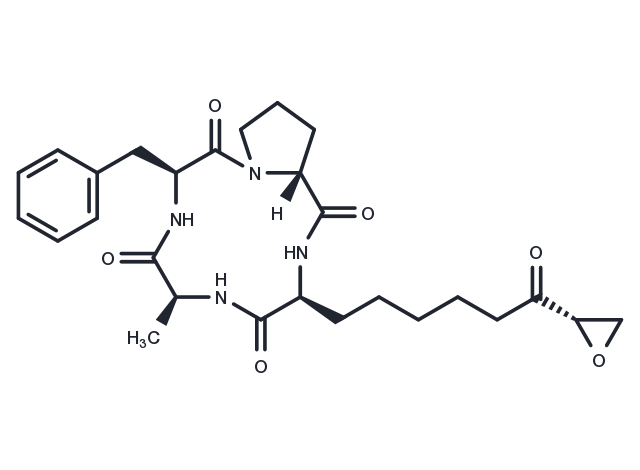 1-Alaninechlamydocin Chemical Structure
