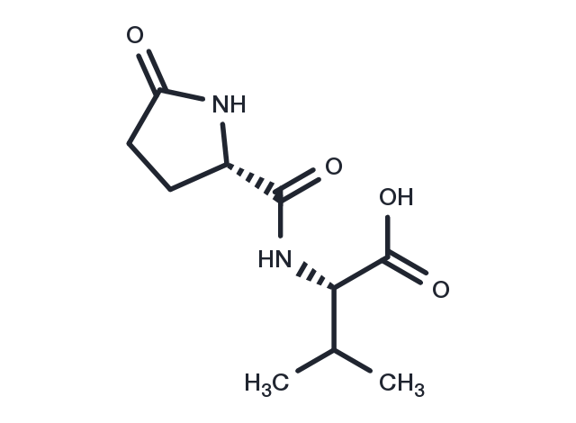 Pyroglutamylvaline Chemical Structure