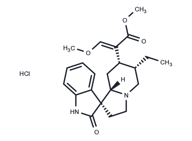 Corynoxine hydrochloride(6877-32-3(free base))