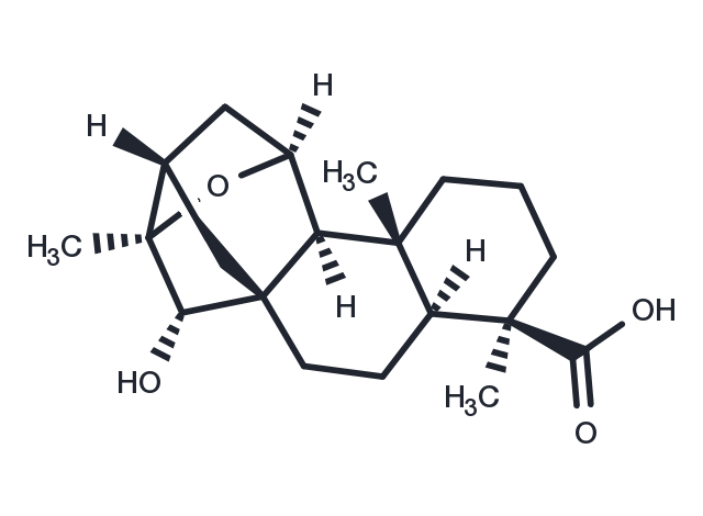 ent-11α,16α-Epoxy-15α-hydroxykauran-19-oic acid