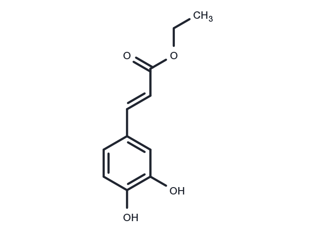 Ethyl trans-caffeate
