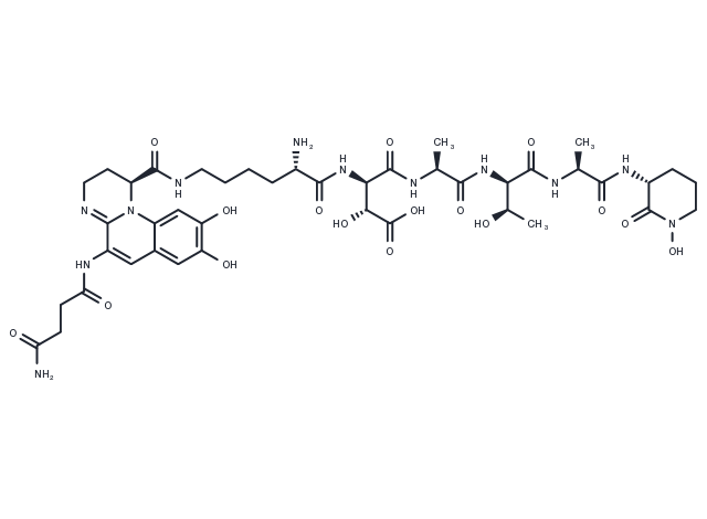 Pseudobactin Chemical Structure
