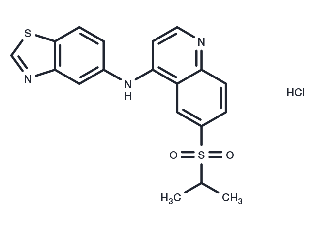 GSK872 HCl（1346546-69-7 free base） Chemical Structure