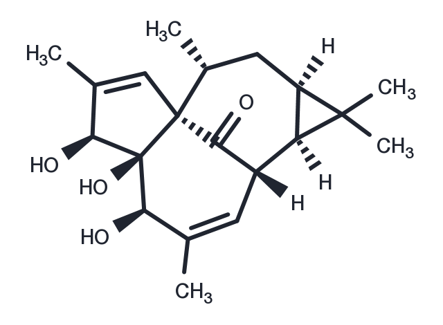 20-DEOXYINGENOL Chemical Structure