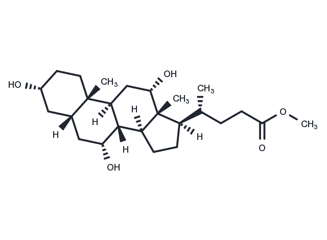 Methyl Cholate Chemical Structure