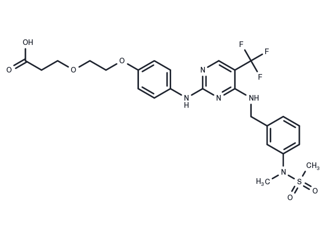 FAK ligand-Linker Conjugate 1