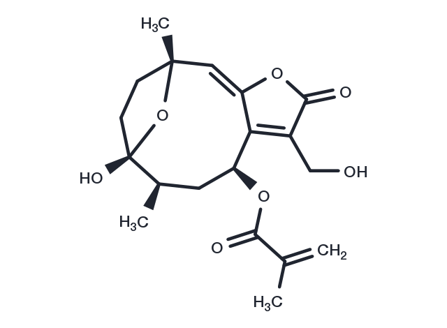 8alpha-(2-Methylacryloyloxy)hirsutinolide