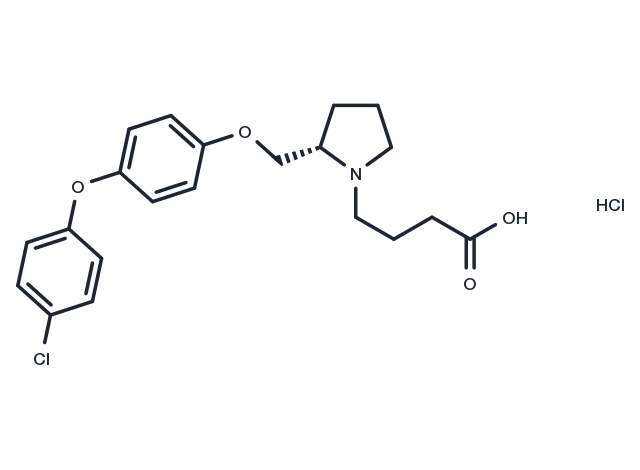 DG051 Chemical Structure