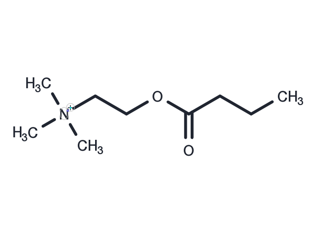 Butyrylcholine Chemical Structure