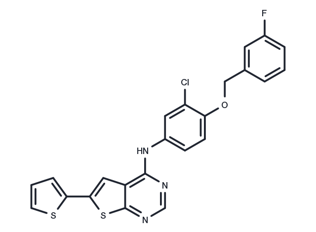 EGFR/ErbB-2 inhibitor-1 Chemical Structure