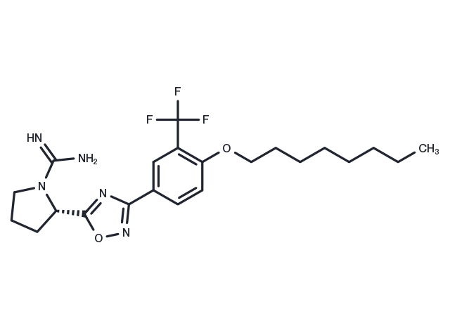 SLM6031434 (free base) Chemical Structure