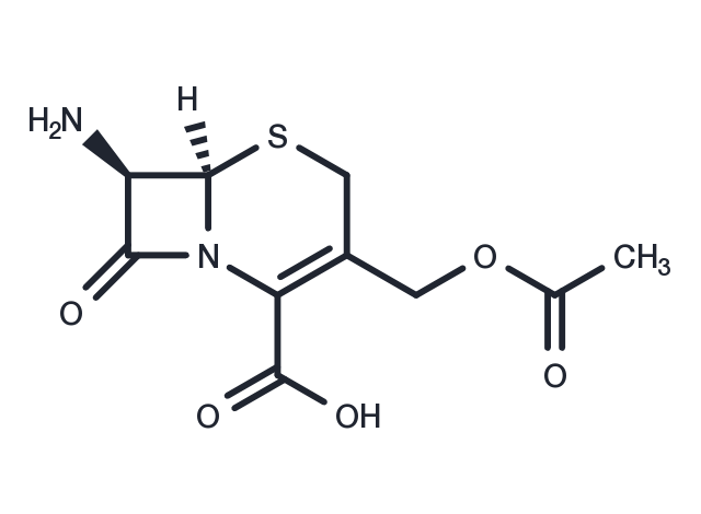 7-Aminocephalosporanic acid Chemical Structure