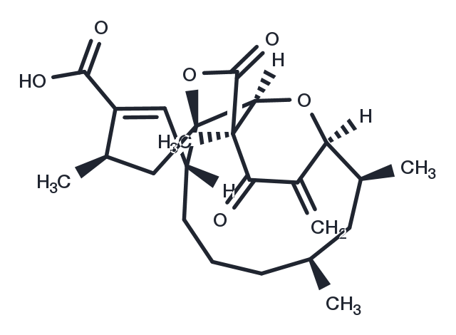 Okilactomycin Chemical Structure