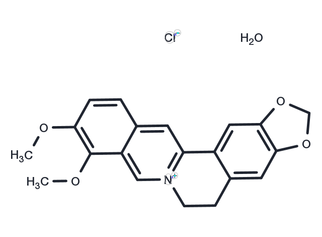 Berberine chloride hydrate Chemical Structure