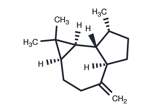(+)-Aromadendrene Chemical Structure