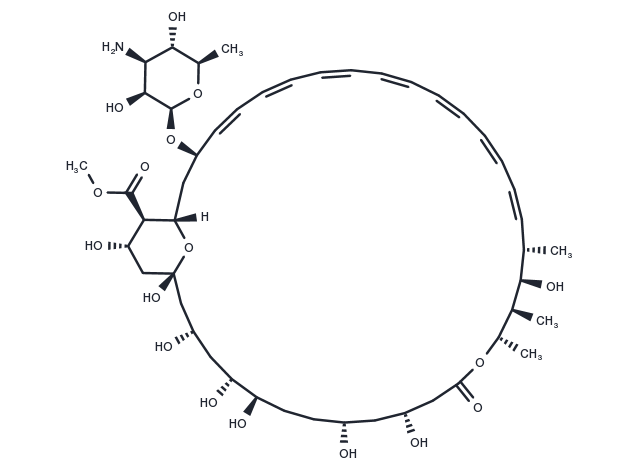 Amphotericin B methyl ester Chemical Structure