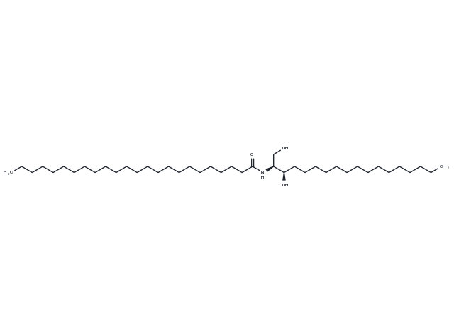 C24 dihydro Ceramide (d18:0/24:0) Chemical Structure