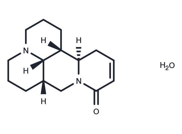 Sophocarpine monohydrate