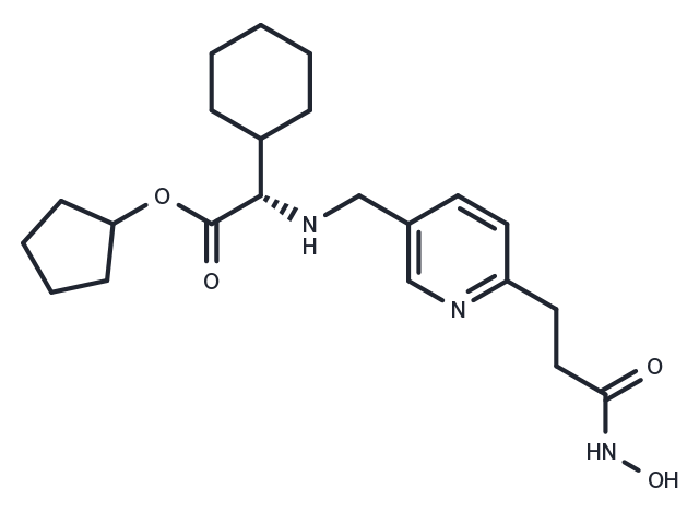HDAC-IN-3 Chemical Structure