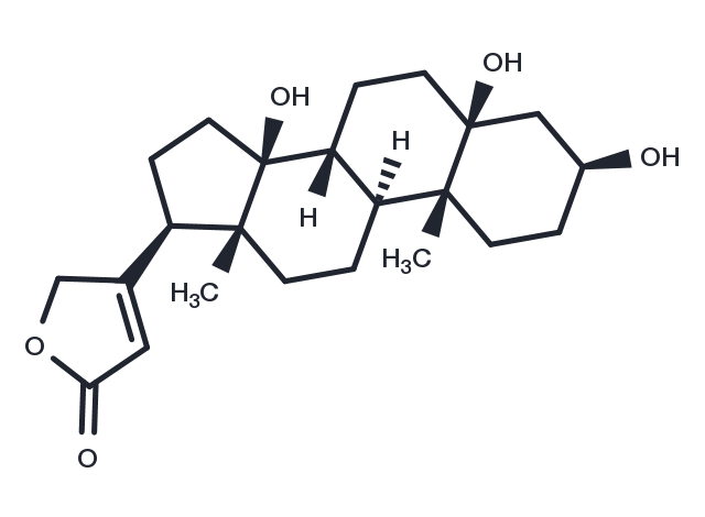 Periplogenin Chemical Structure