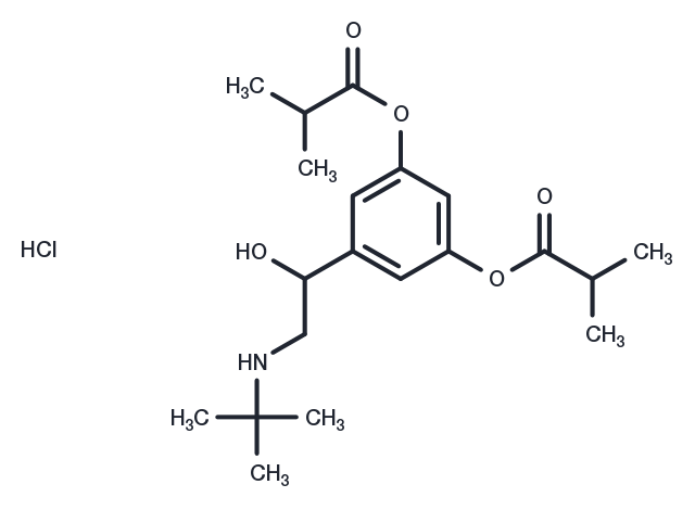dl-Ibuterol hydrochloride Chemical Structure